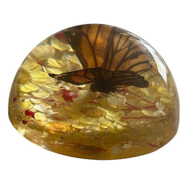 Real Preserved Monarch Butterfly Resin Flower Dome Paperweight 4” X 2” - Picture 4 of 7
